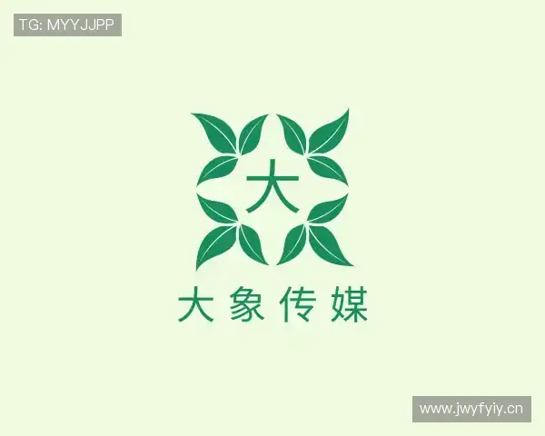 关于大象传媒